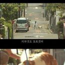 마리모 이미지