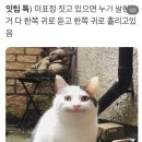 벌써 6월이라고?ㅠ (상편)