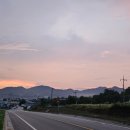 돈돼지복돼지 이미지