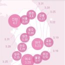 센트럴파크진달래