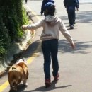 소윤