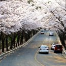 육신사(구) 이미지