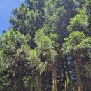 별다락민박 이미지