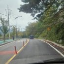 DR모터스 이미지