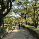서상동 김수로왕 비릉공영주차장 주변 도로 | [공지] 김해 데이트 코스 김해수로왕릉 단풍 맛집 추천