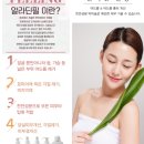 더함에스테틱 이미지