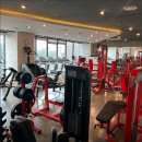 고포잇짐 이미지