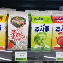 젠시오 이미지