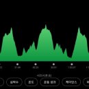 2024 대청호 벚꽃길 마라톤 대회 이미지