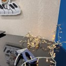 성성초등학교 이미지