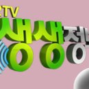 탐나는재주