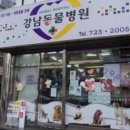 동진다방 이미지