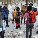 제207차 정기산행(고양시 노고산, 250201) 이미지