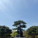 효동수족관 | 강릉