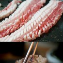 칼삼 이미지