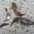 풀빛다락 이미지