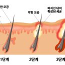 타비메디칼