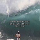 리바이웰 - 강남구 | 무한불신지옥