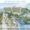 로얄세탁소 | 파타야여행 끝판왕 로얄 클리프 비치 테라스 파타야 호텔추천 후기