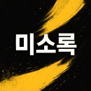 미소여행사주