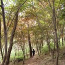 구곡상회 이미지