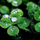 한의원혜민서 이미지