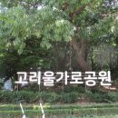 고강본동행정복지센터 이미지