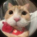 누하우스 이미지