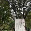 성실오리농장 | <돼지가 한 마리도 죽지 않던 날> 독서모임 후기 (2)