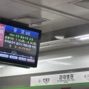 멍이랑옹이랑 | 외향인 체험기…