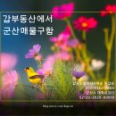 삼진공인중개사사무소 이미지