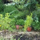 순일농장 이미지