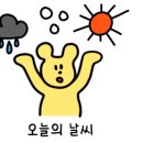 서현애견미용실 이미지