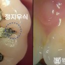 참조은치과의원 이미지