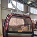 곰목장 | 노보리베츠 곰목장 후기 즐길거리 할인방법