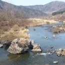 섬진강봄소식 이미지