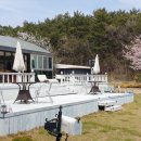 아그리나 시즌2 이미지