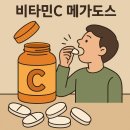 HNH365 고려은단 비타민C 메가도스 DSM 과다복용 효과 효능 부작용 방귀 가스