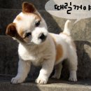 떳다 이미지