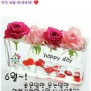 로가 이미지