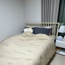 새오약국 | 11.04 - 11.08 핀란드 여행 준비 • 핀에어 직항 후기