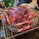 마이산흑염소 이미지