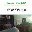 다풀다 이미지