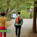 청결떡방앗간 이미지