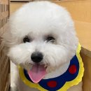 제이에스네일 이미지