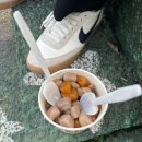 위즈타로 이미지