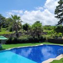 캠핑트리펜션 이미지