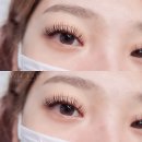 하비래쉬