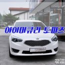 파토즈 이미지