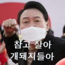 [속보] 대통령실, 지역화폐법·김건희·채상병특검법에 "헌법 위배" 이미지